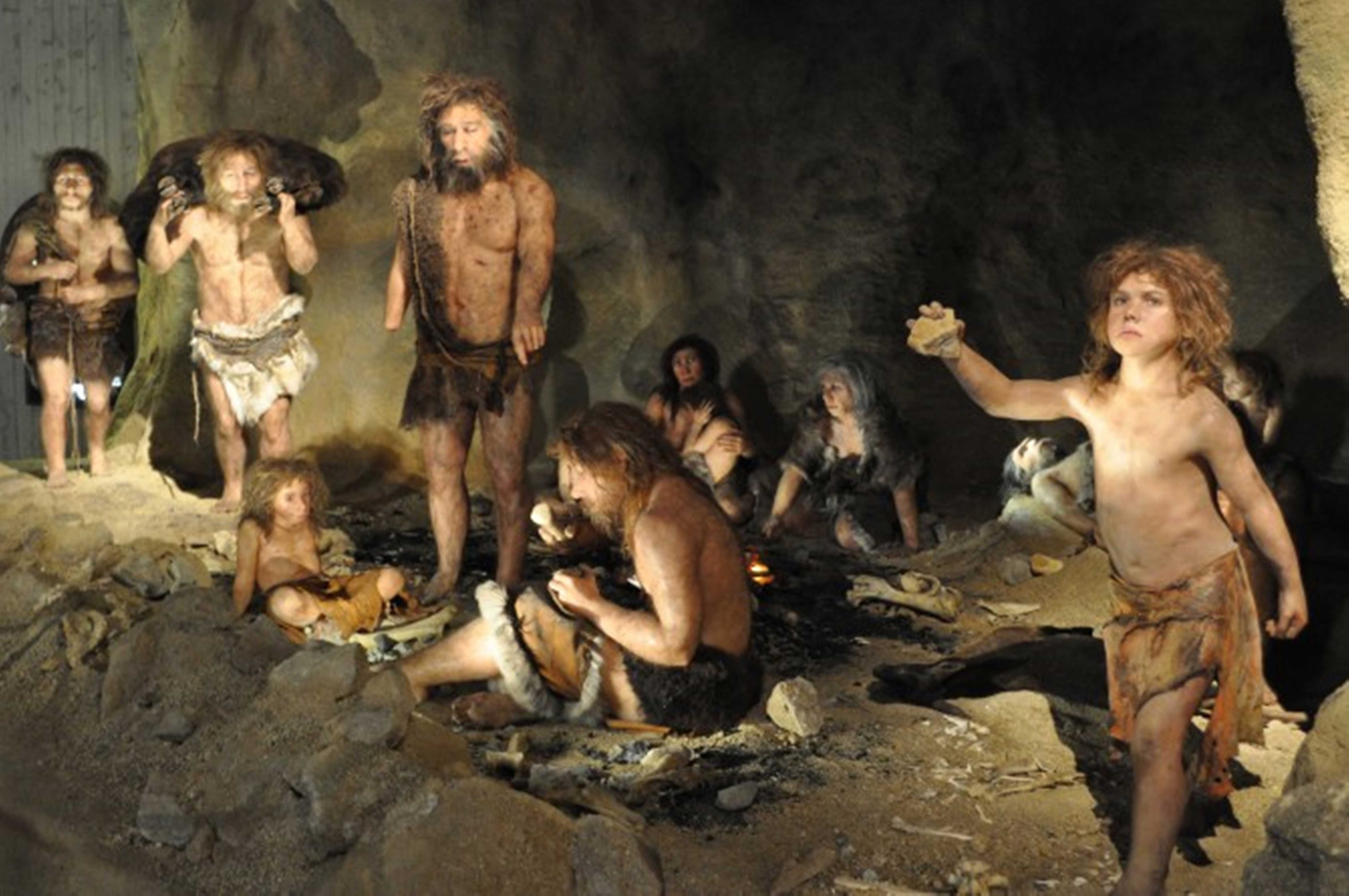 네안데르탈인(H.neanderthalensis)의 복원도(막스플랑크 연구소 제공)